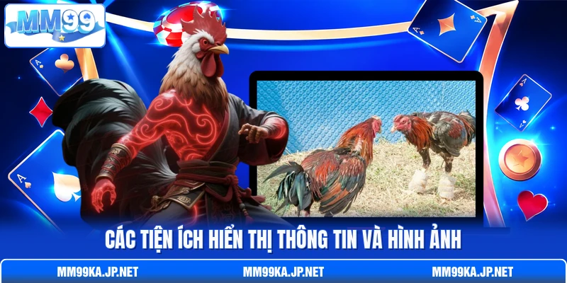 Các tiện ích hiển thị thông tin và hình ảnh Các tiện ích hiển thị thông tin và hình ảnh