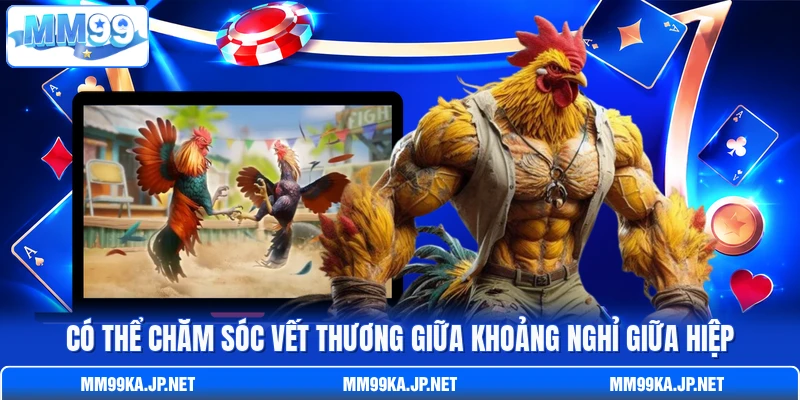 Có thể chăm sóc vết thương giữa khoảng nghỉ giữa hiệp