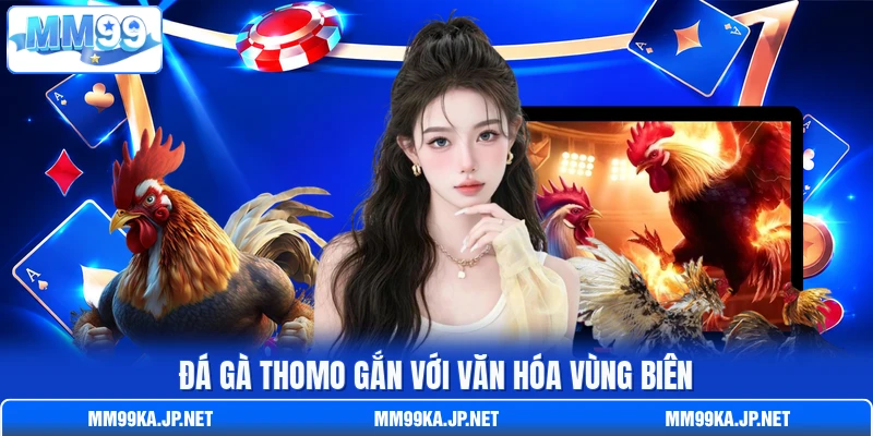 Đá gà Thomo gắn với văn hóa vùng biên Đá gà Thomo gắn với văn hóa vùng biên