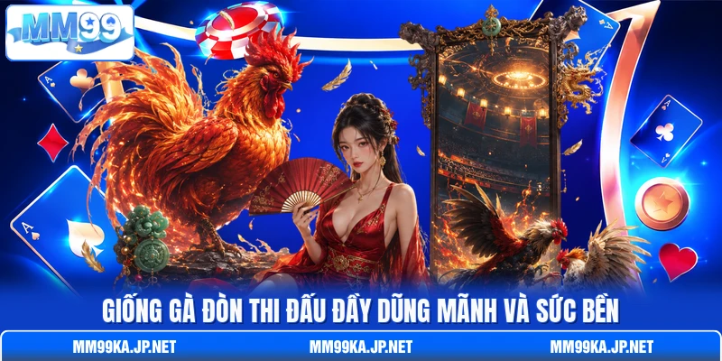 Giống gà đòn thi đấu đầy dũng mãnh và sức bền Giống gà đòn thi đấu đầy dũng mãnh và sức bền