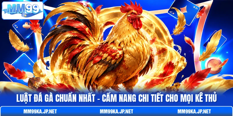 Luật Đá Gà Chuẩn Nhất - Cẩm Nang Chi Tiết Cho Mọi Kê Thủ