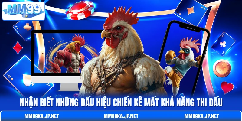 Nhận biết những dấu hiệu chiến kê mất khả năng thi đấu