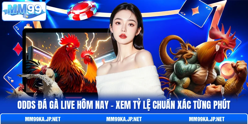 Odds Đá Gà Live Hôm Nay - Xem Tỷ Lệ Chuẩn Xác Từng Phút