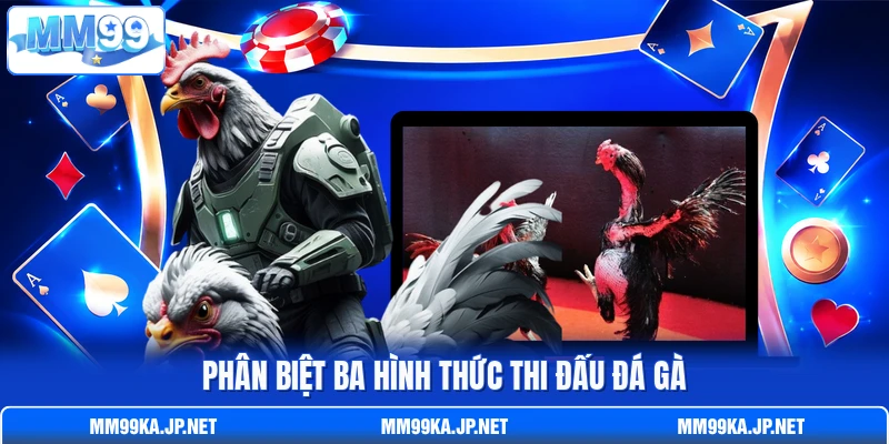 Phân biệt ba hình thức thi đấu đá gà Phân biệt ba hình thức thi đấu đá gà