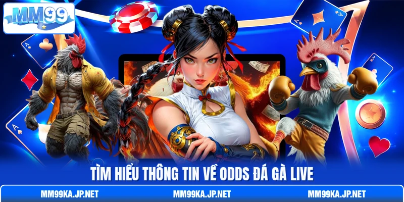 Tìm hiểu thông tin về odds đá gà live Tìm hiểu thông tin về odds đá gà live