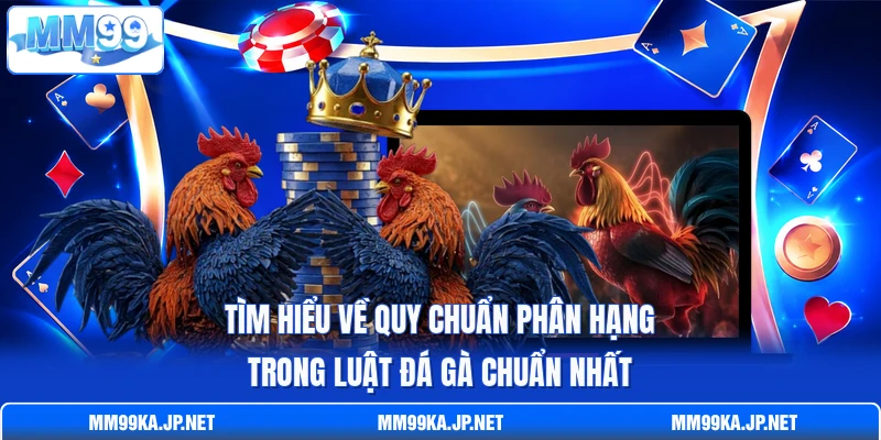 Tìm hiểu về quy chuẩn phân hạng trong luật đá gà chuẩn nhất