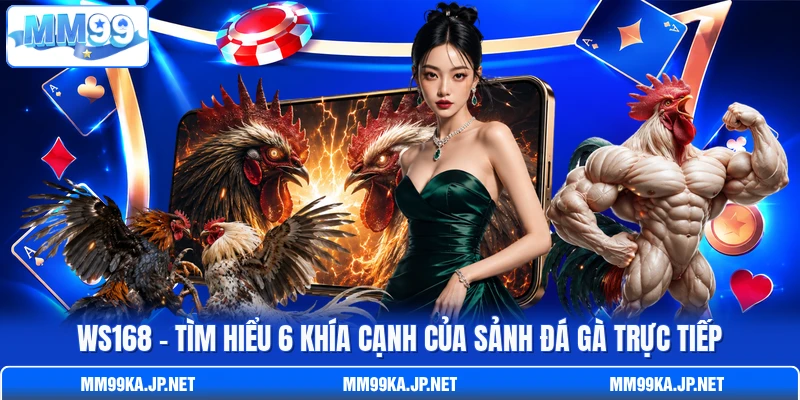 WS168 - Tìm Hiểu 6 Khía Cạnh Của Sảnh Đá Gà Trực Tiếp